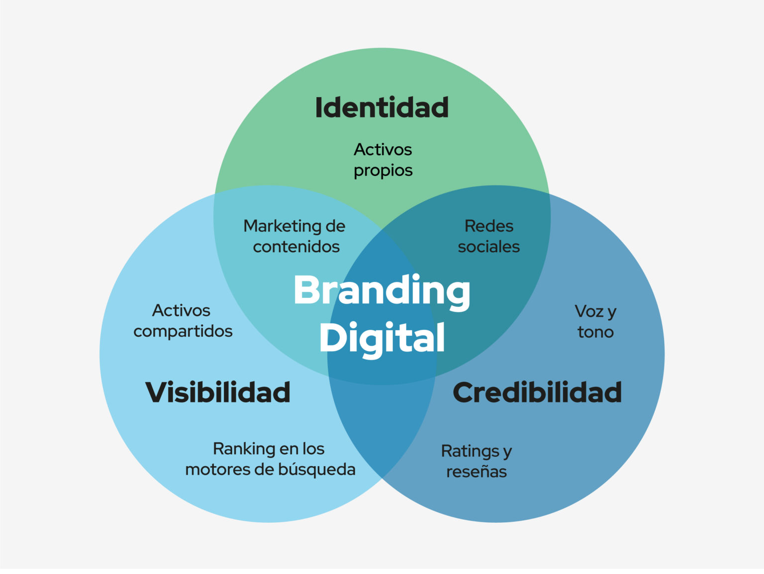 Estrategias De Branding Digital Para Tu Empresa Seonet