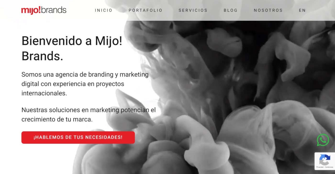 mijo brands agencia de marketing en puerto vallarta