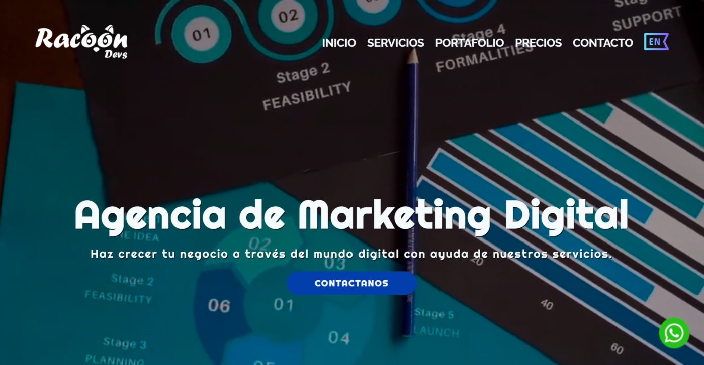 racoondevs agencia de marketing en puerto vallarta