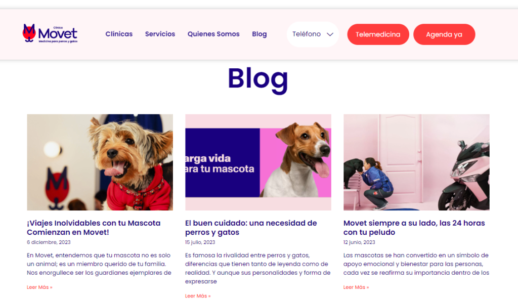 blog para marketing veterinario