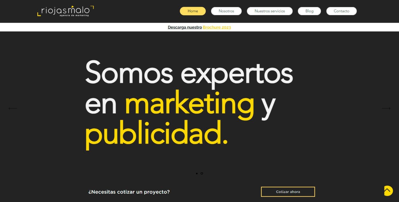 riojas malo agencia de marketing digital en veracruz mexico