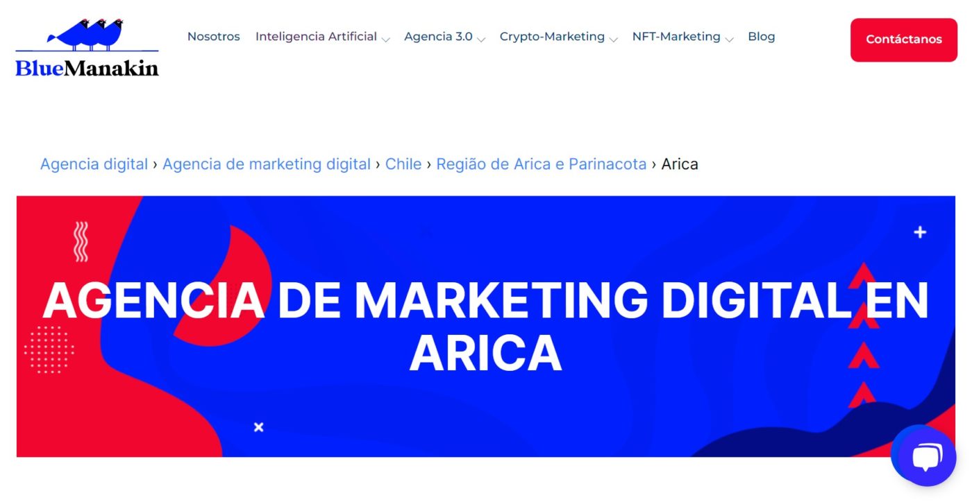 blue manakin agencia de marketing digital en arica