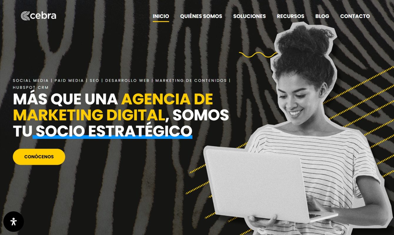 cebra agencia de marketing digital en las condes