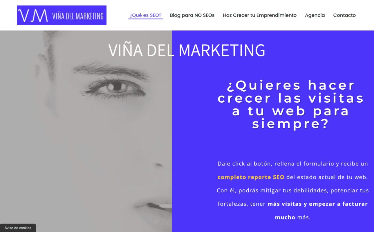 vina del marketing agencia de marketing digital en vina del mar