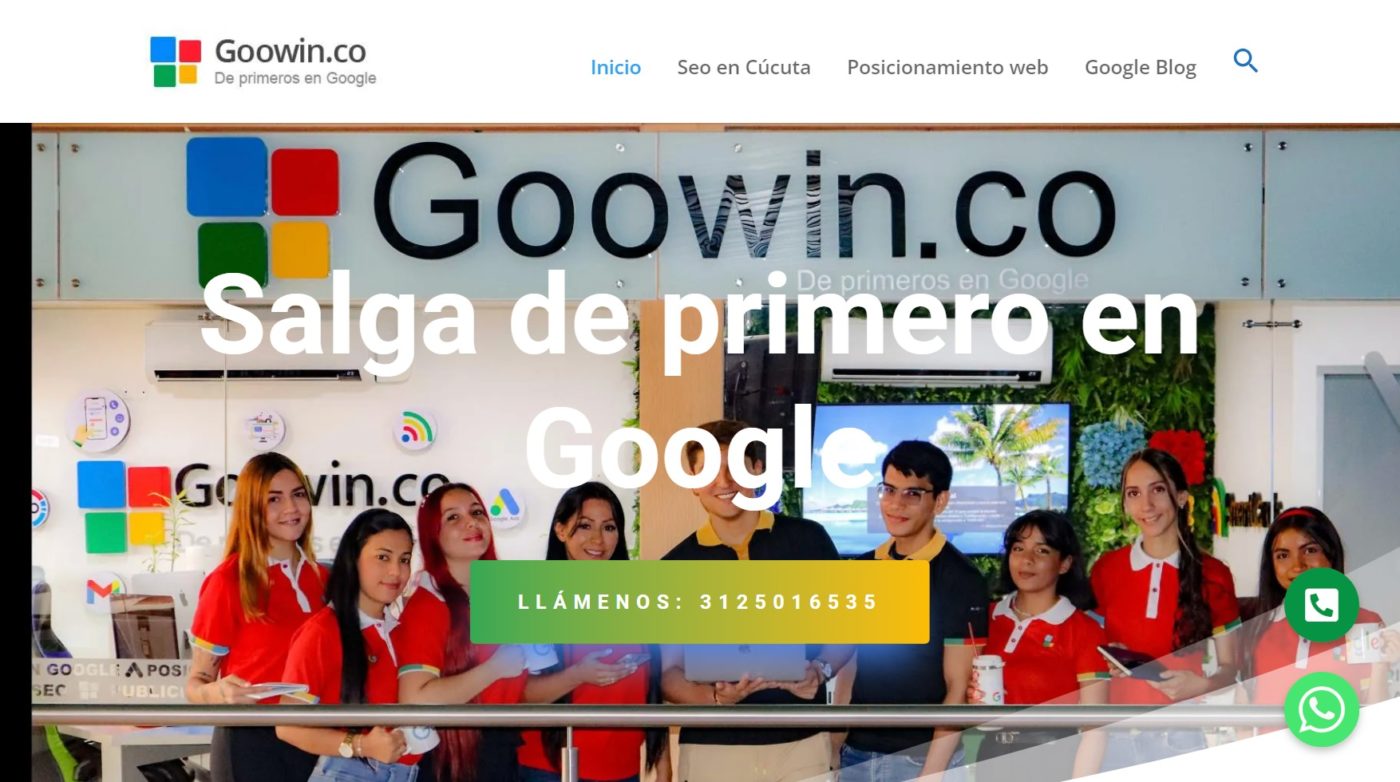 goowin agencia de marketing digital en cucuta