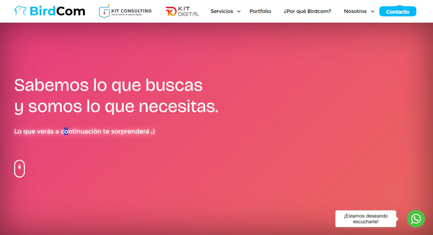 birdcom agencia de marketing digital en zaragoza