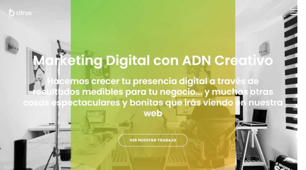 citrus agencia de marketing digital en tenerife