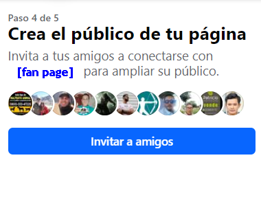 crea el publico de tu pagina