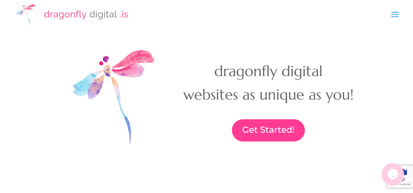 dragonfly agencia de marketing digital en austin