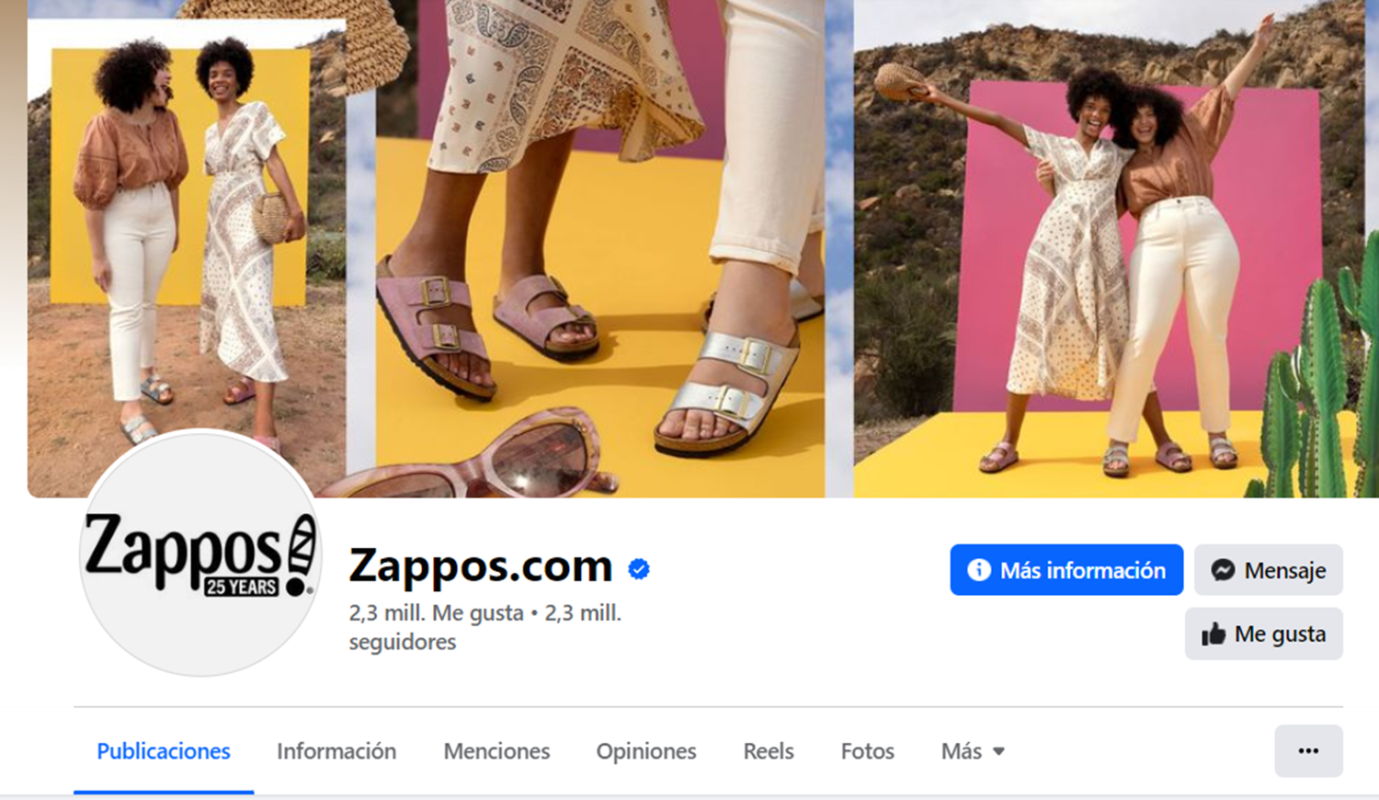 ejemplo fanpage zappos