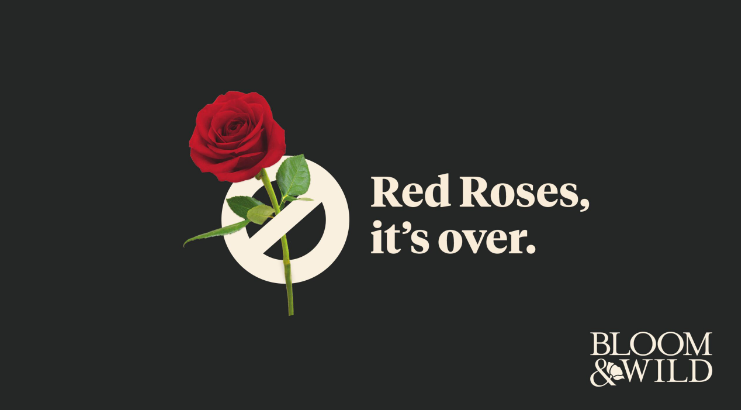 red roses its over