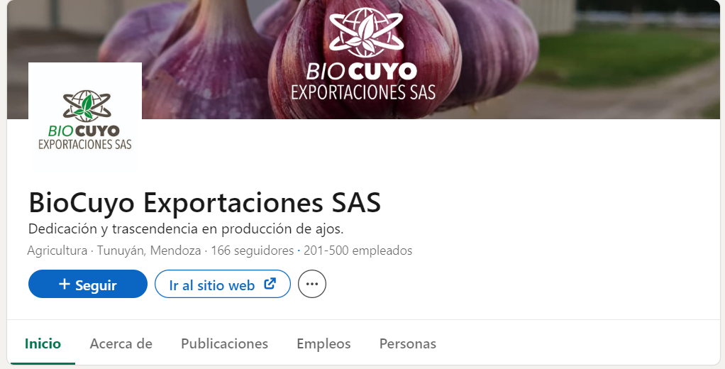 ejemplo de linkedin de empresa de exportaciones