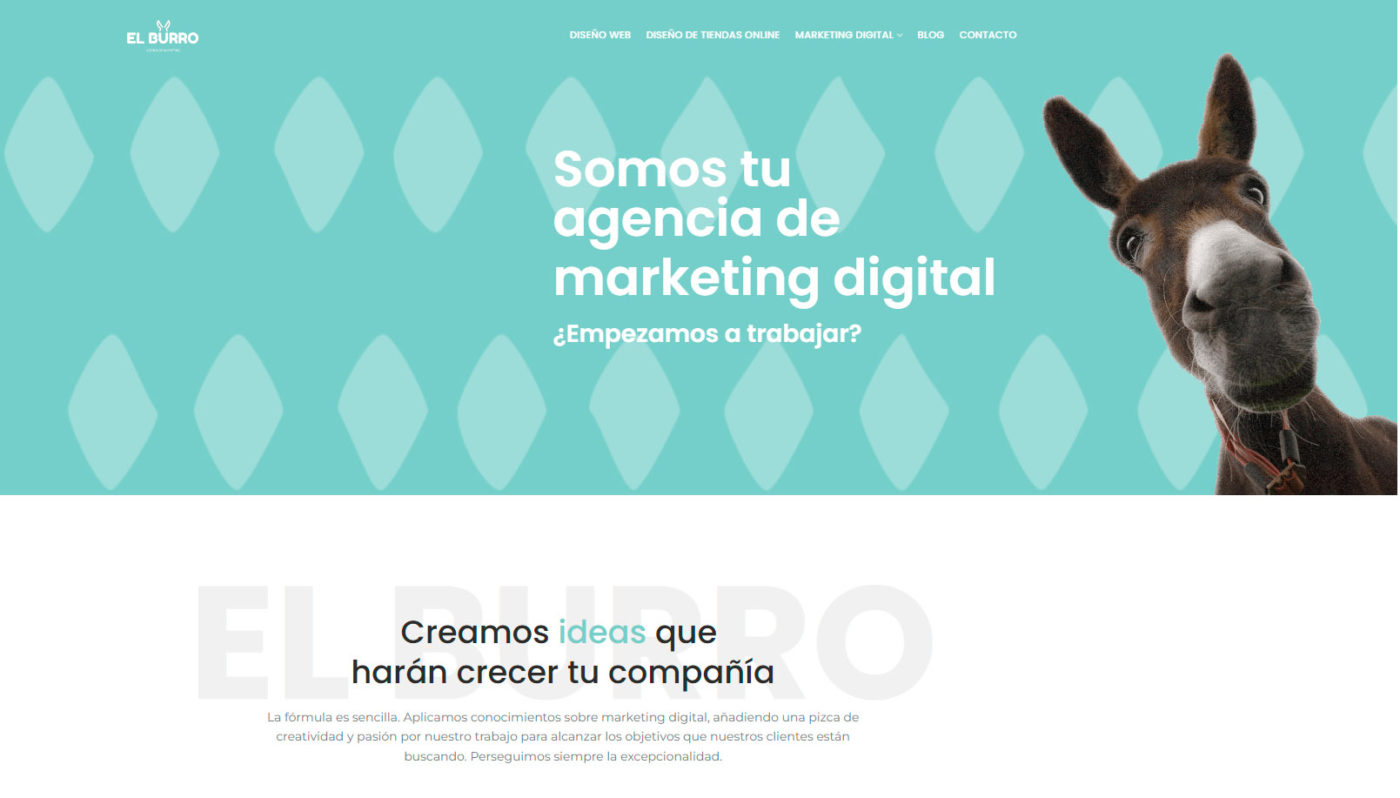 el burro marketing digital agencia de marketing digital en sevilla