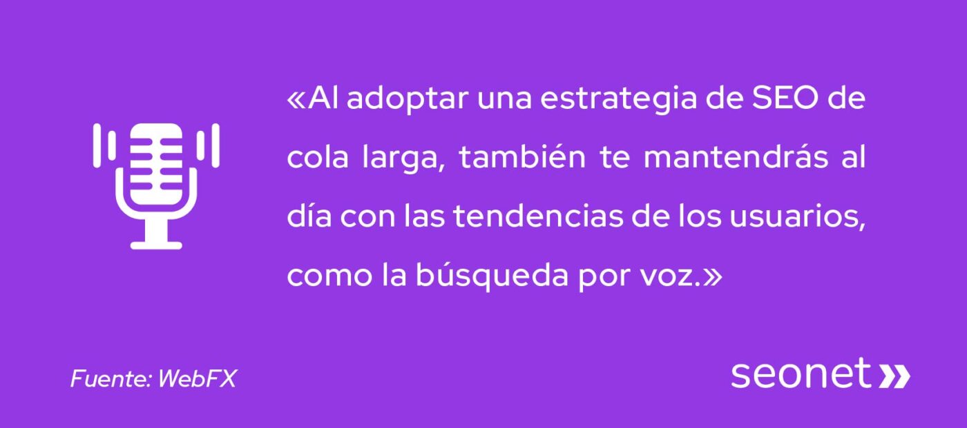 estrategia de seo de cola larga