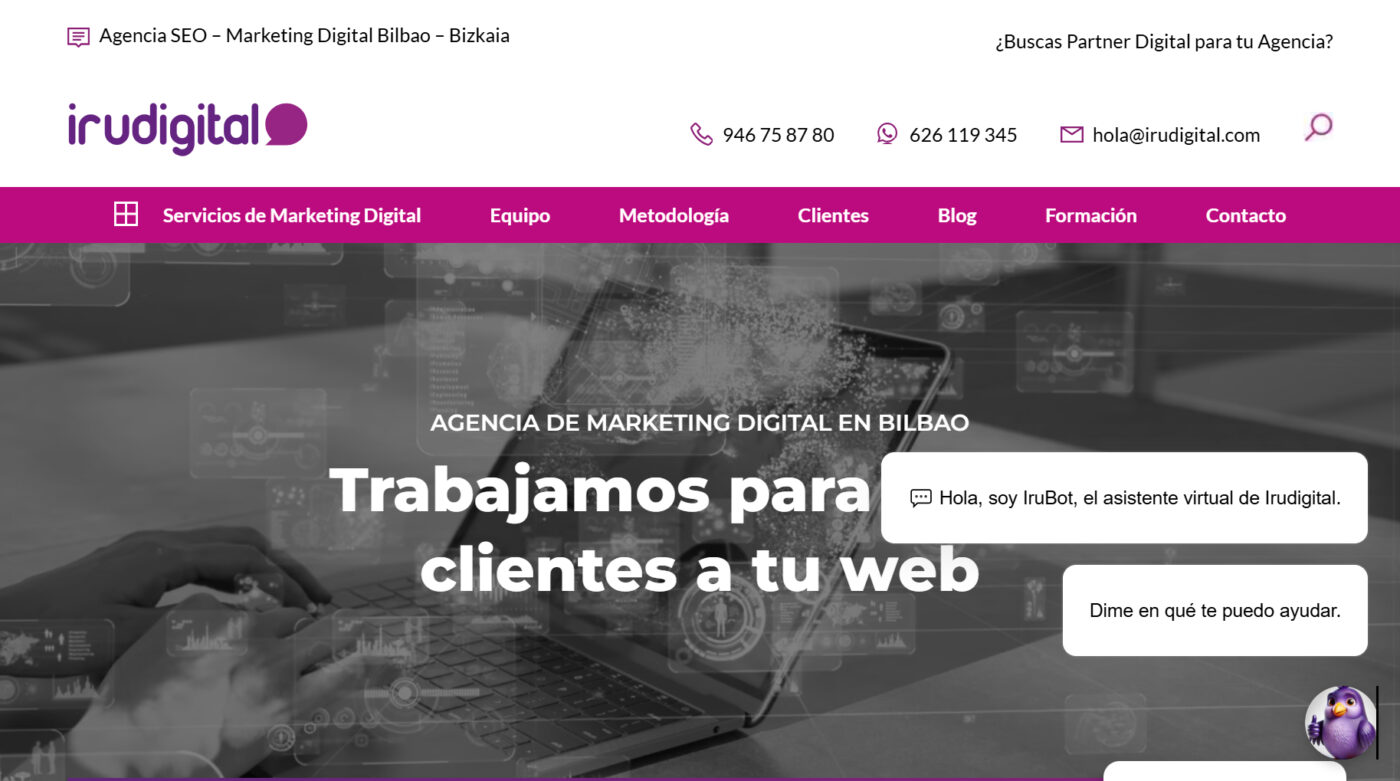 irudigital agencia de marketing digital en vizcaya