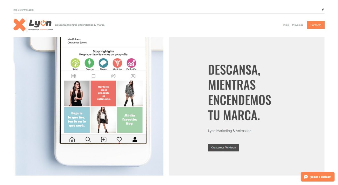 lyon agencia de marketing digital en saltillo