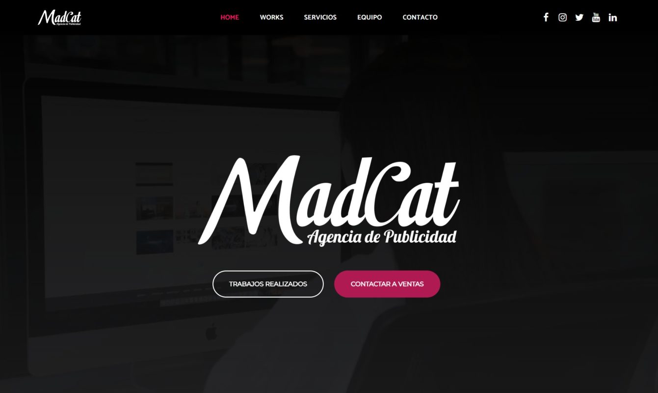 mad cat agencia de marketing digital en vina del mar