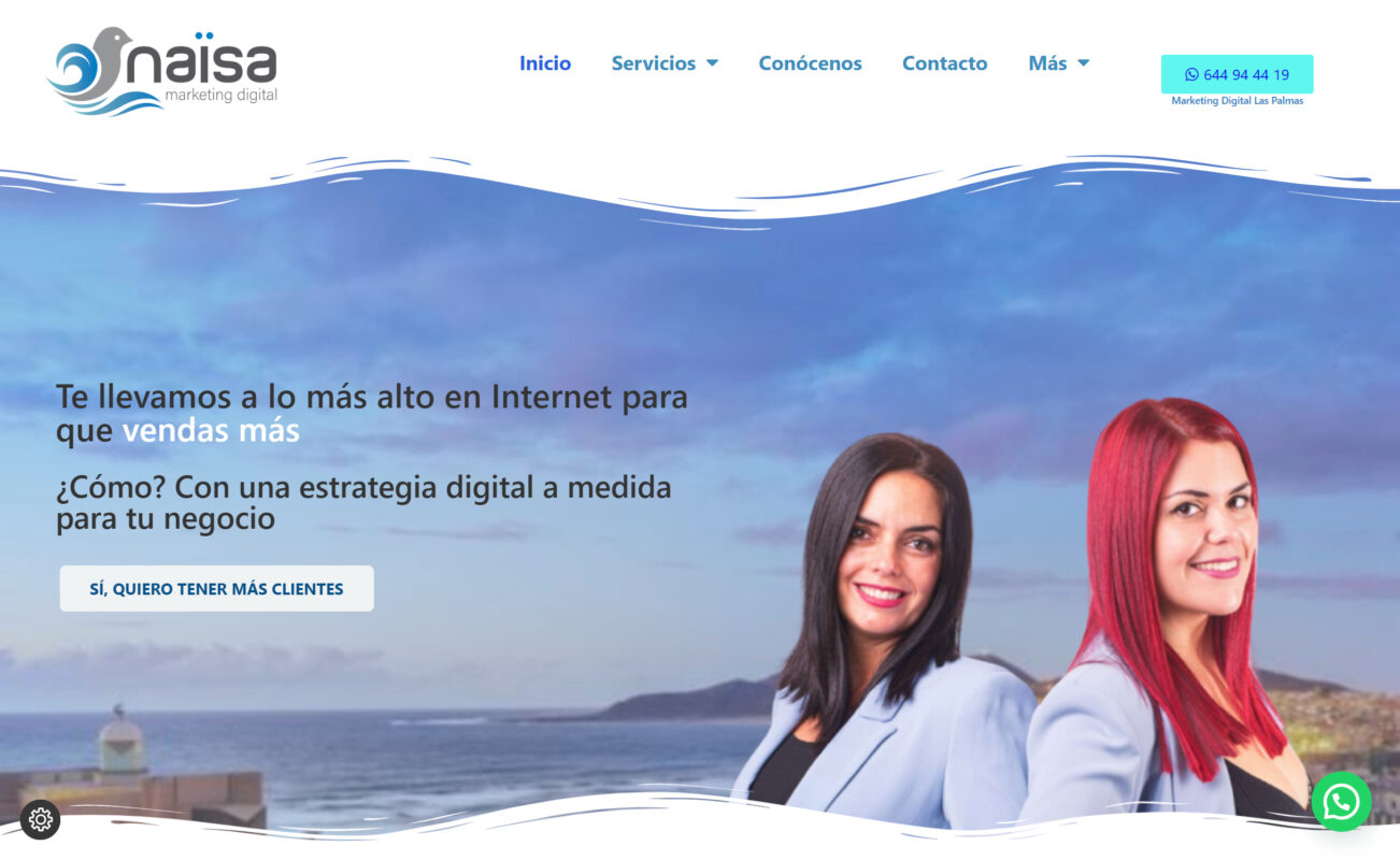 naisa agencia de marketing digital en las palmas