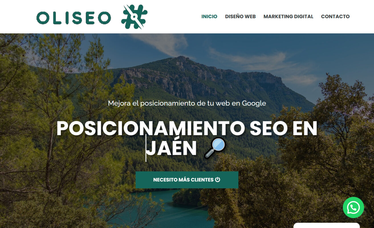 oliseo agencia de marketing digital en jaen