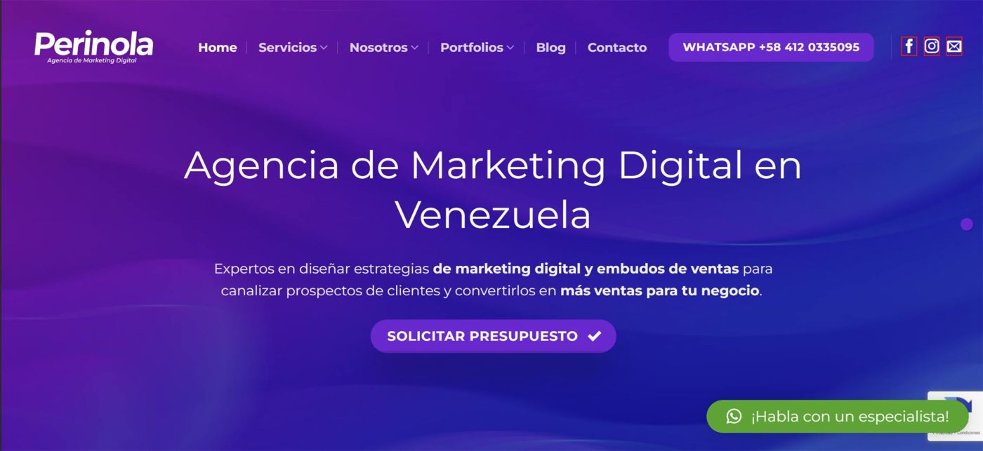 perinoladesign agencia seo en venezuela