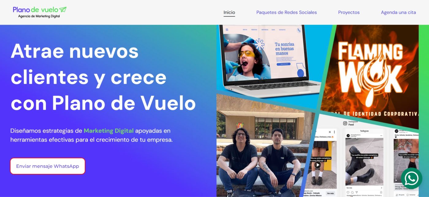 plano de vuelo agencia de marketing digital en tepic