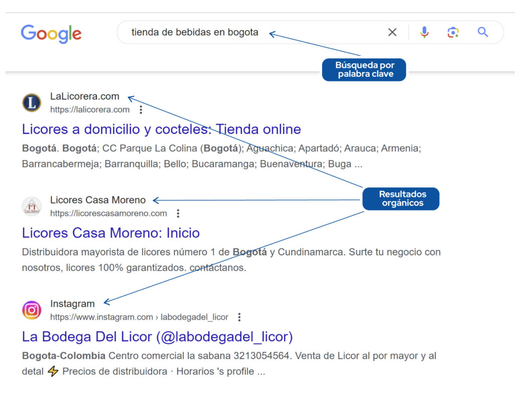 resultados organicos para tienda de bebidas