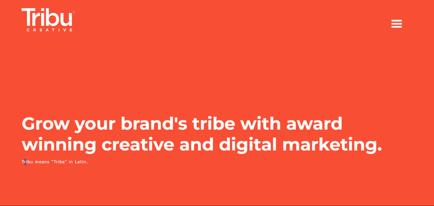 tribu creative agencia de marketing digital en san antonio