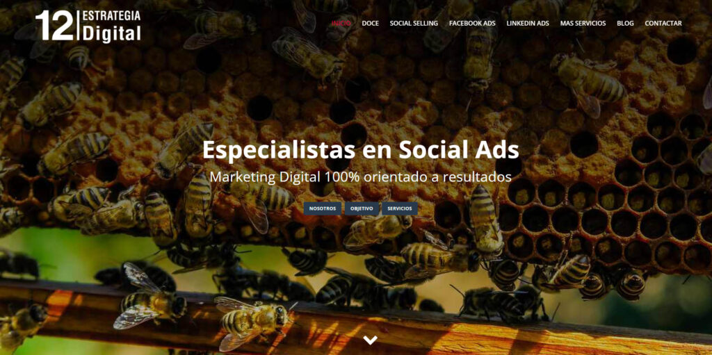 doce agencia de marketing digital en burgos