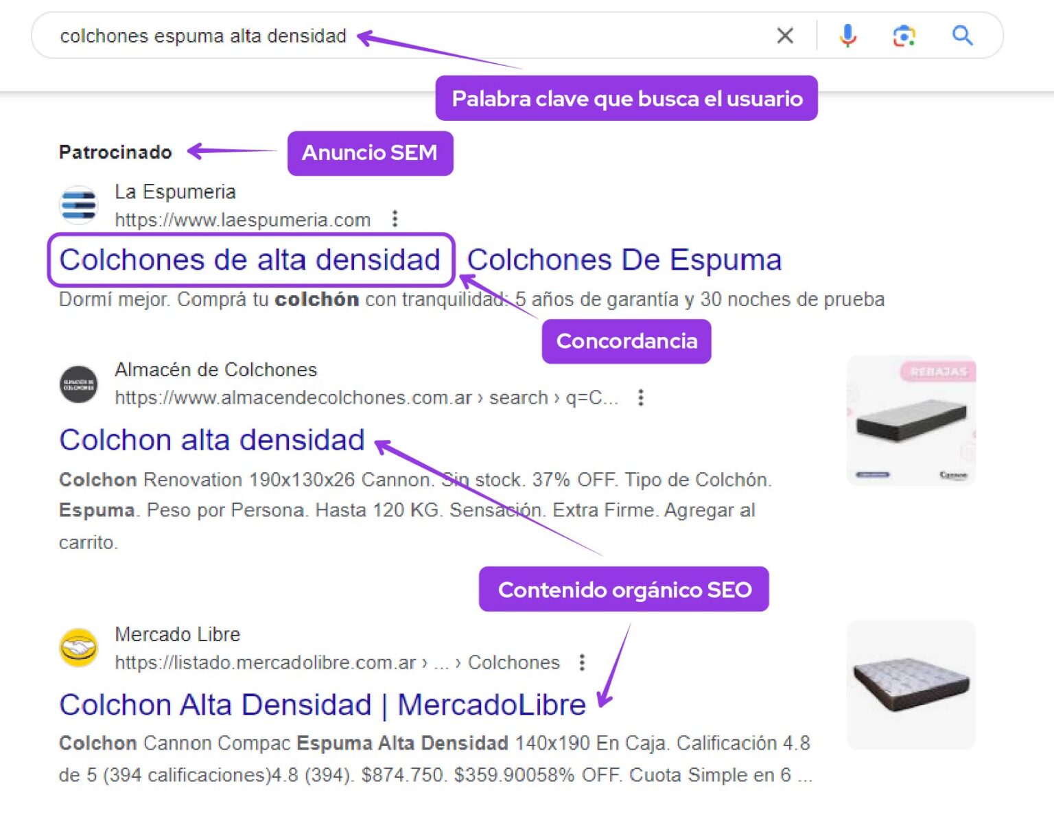 ejemplo de busqueda en google