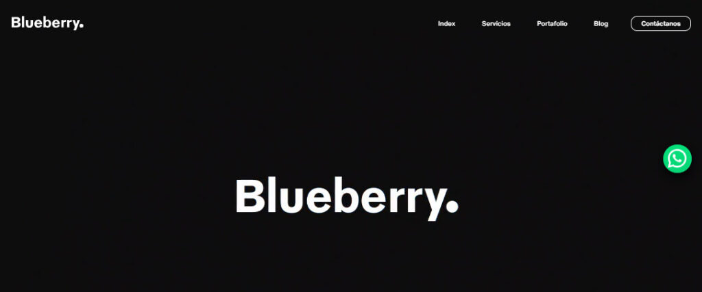 blueberry agencia de publicidad en guadalajara